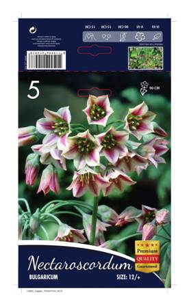 Декоративен Лук (Самардала) Alium Bulgaricum